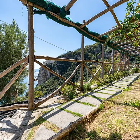 Foglia