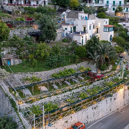 Foglia Amalfi