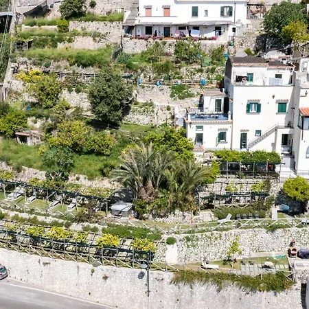 Foglia Amalfi