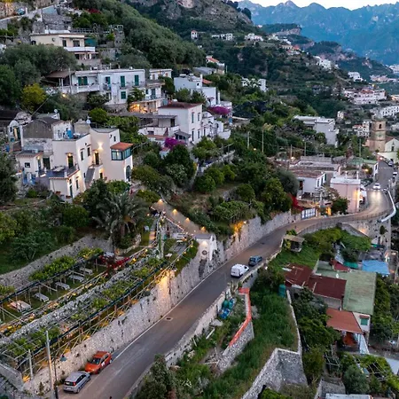 Foglia Amalfi