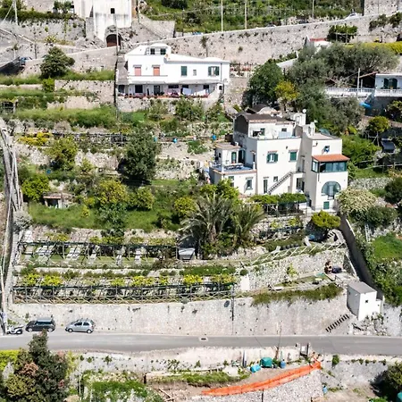 Foglia Amalfi